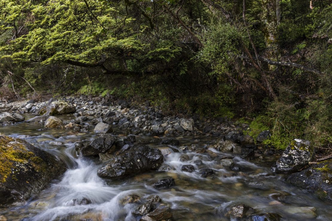 Flowing river