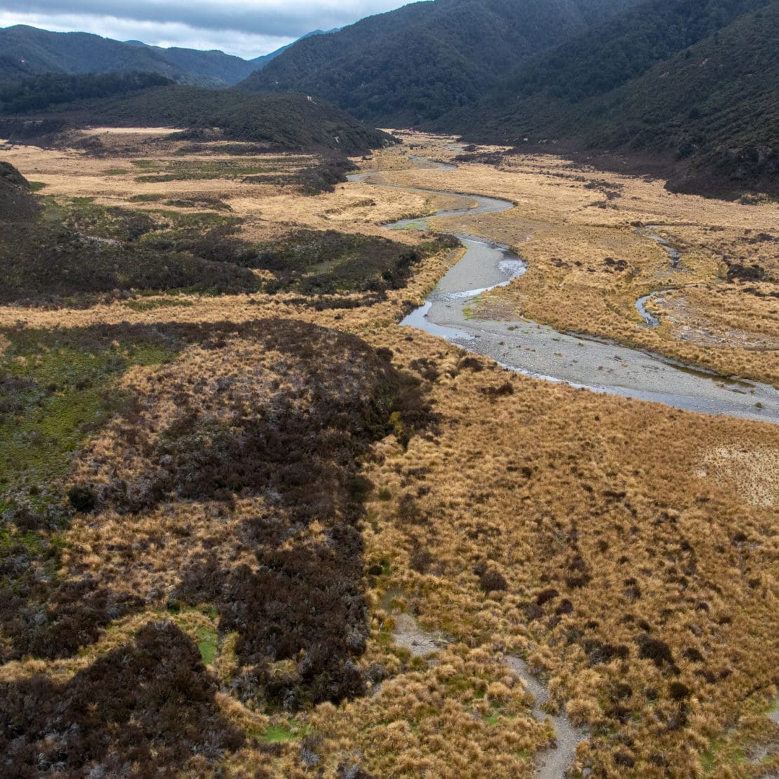 Valley from above